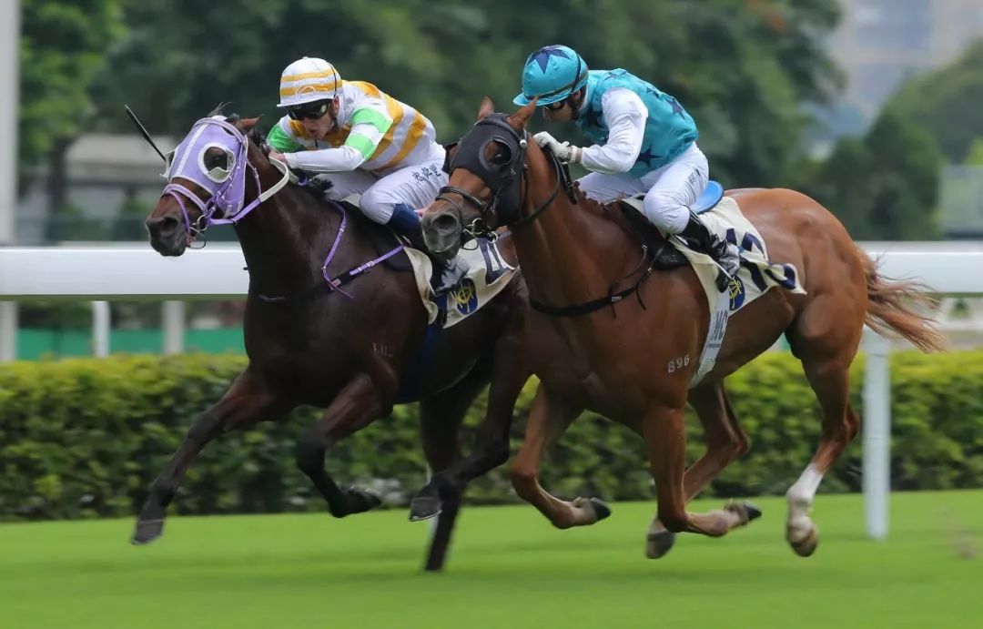 九游体育app下载-爱尔兰客场求胜，冲击小组第一名